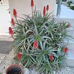 Family House Damir דירה *