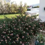 דירה Family House Damir