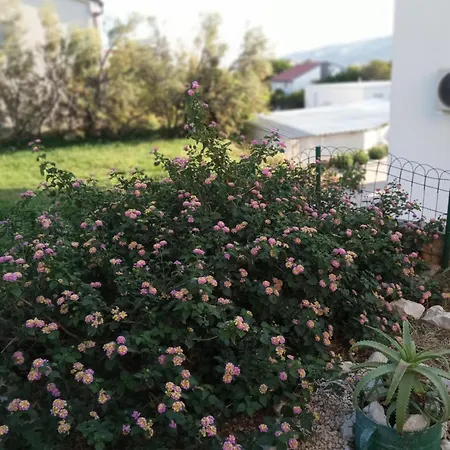 Διαμέρισμα Family House Damir